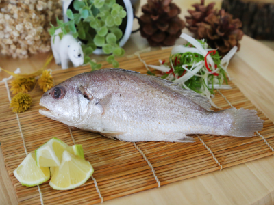 白口魚